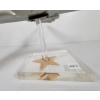 Image 9 : TRANS-CANADA CF-TGA METAL AIRPLANE MODEL W/ STAND