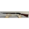 Image 1 : REMINGTON MODEL 25 IN .25-20