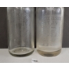 Image 5 : LOT OF 2 - EXCELSIOR BOTTLING CO & THE BEAR - CLEAR ACID-ETCHED - SYPHON BOTTLES