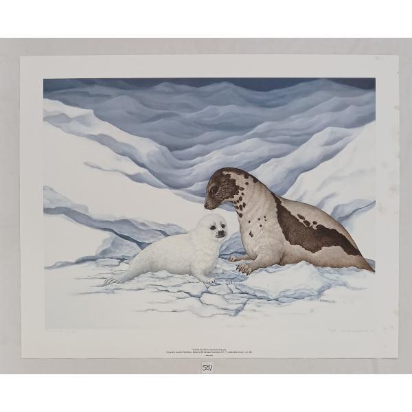  GENTLE MOMENTS - HARP SEALS  BY CHRISTINE MARSHALL (PRS CDN ARTIST) - PRINT
