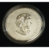 Image 3 : RCM 2016 $10 SILVER COIN - CANADIAN MAPLE LEAVES