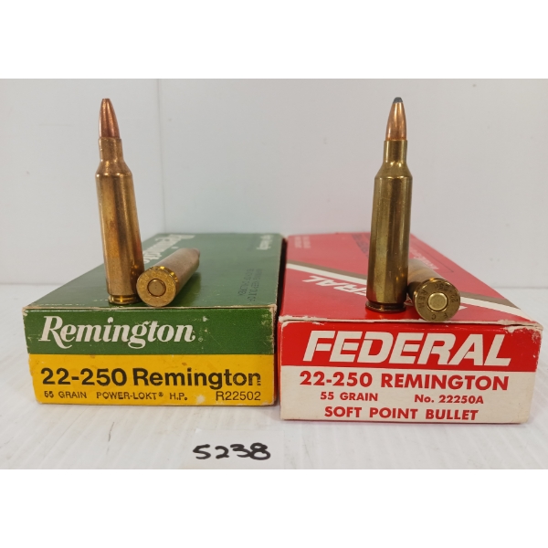 AMMO: 40X FEDERAL & REMINGTON .22-250 REM - 55GR - SP & HP