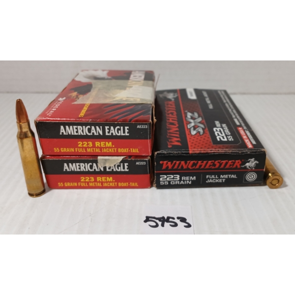 AMMO: 60X MIXED .223 REM - 55GR - FMJ & FMJ BT 