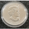 Image 2 : 2007 RCM $5 SILVER COLOURED COIN - SUGAR MAPLE IN ORANGE