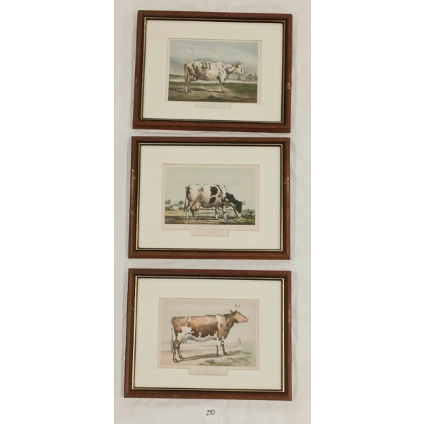 LOT OF 3 - EMRIK & BINGER FARM COWS - FRAMED LITHOGRAPH PRINTS