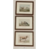 Image 1 : LOT OF 3 - EMRIK & BINGER FARM COWS - FRAMED LITHOGRAPH PRINTS