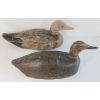 Image 3 : LOT OF 2 - HEN & RED EYED DECOY DUCKS