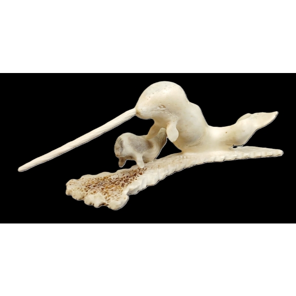  NARWHAL W/ BABY  BY LUKIE AIRUT - ANTLER
