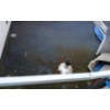 Image 6 : PONTOON BOAT W / TRAILER - 20 FOOT - JOHNSON VRO 70 MOTOR