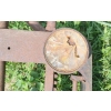 Image 3 : VINTAGE PUMP PARTS