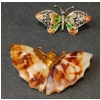 Image 4 : LOT OF 3 - BUTTERFLY BROOCHES & LOCKET NECKLACE 