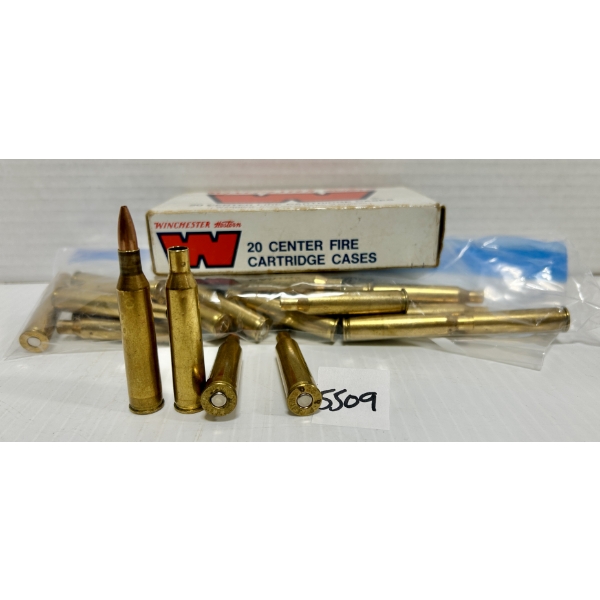 AMMO/BRASS: 29X LIVE & 22X PRIMED BRASS .220 SWIFT