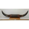 Image 1 : MOUNTED STEER HORNS W/ TOOLED LEATHER