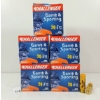 Image 1 : AMMO: 125X CHALLENGER 20GA - 2 3/4IN - #9 SHOT