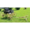 Image 2 : HORSE DRWN BUGGY - ORIGINAL CONDITION