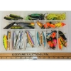 Image 1 : QTY OF LURES W/ CASE