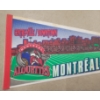 Image 2 : CFL MONTREAL ALOUETTES PENNANT