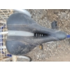 Image 5 : GENESIS 3 WHEEL BIKE W/ PUMP