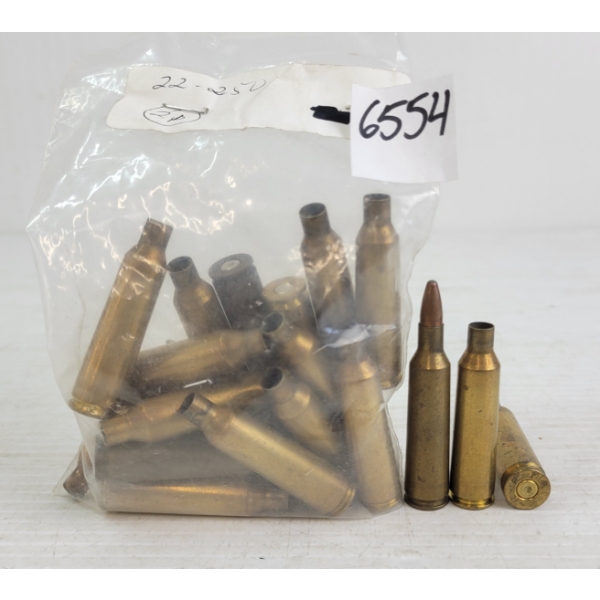 AMMO / BRASS: 21X MIXED .22-250REM - 1X LIVE - BRASS ONCE FIRED