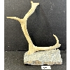 Image 2 : ANTLER - SIGNED - ANTLER & STONE