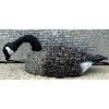 Image 4 : JOB LOT - CANADIAN GEESE DECOYS W/ HEADS & STAKES, ETC.