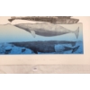 Image 3 : "WHALING BY KAYAK" BY REX GOOSE KANGOAK - LITHOGRAPH