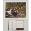 Image 2 : "COOLING STREAM - TIMBER WOLVES" BY CHRISTINE MARSHALL (PRS CDN ARTIST) - PRINT