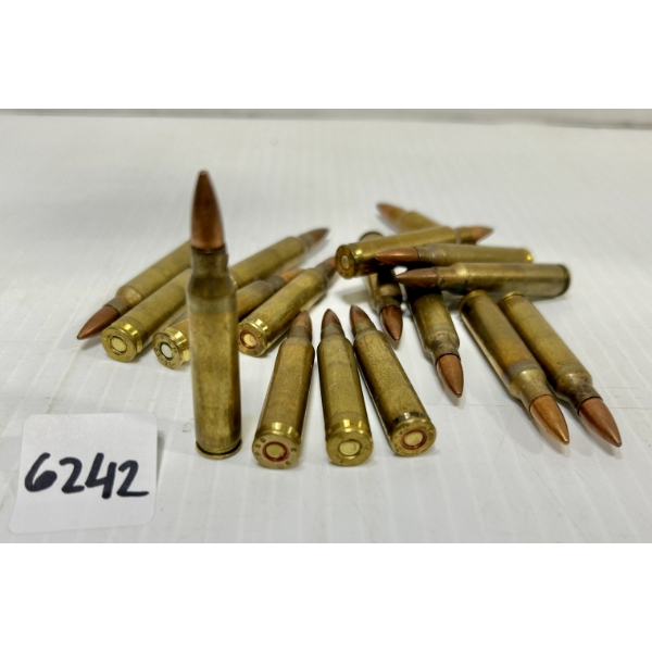 AMMO: 17X MIXED 5.56X45 MM NATO