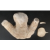 Image 7 : "MAN" BY ELIJAH PALITUQ - ANTLER & BONE