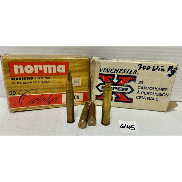 AMMO / BRASS: 9X LIVE .30-06 SPRG & 18X BRASS .300 WIN MAG