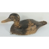 Image 1 : VINTAGE DECOY DUCK