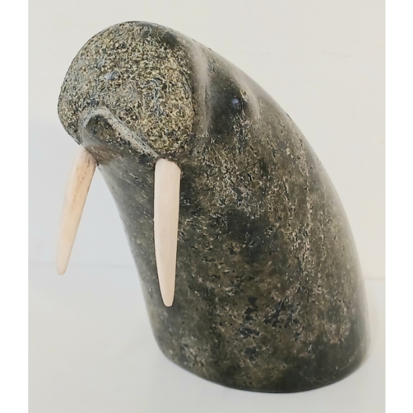 WALRUS BY STEPHEN KOOTOO (1920-?)  - STONE & BONE