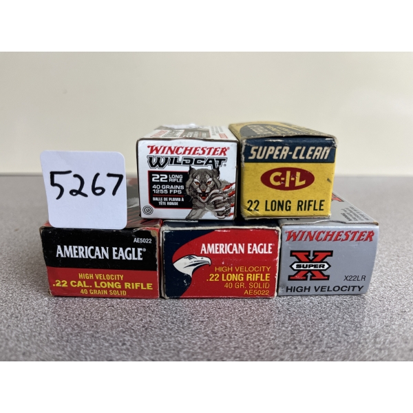 AMMO: 250X MIXED .22 LR 
