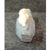 Image 5 : POLAR BEAR SUPRISE BY MAGGIE NAKOOLAK (PRS CDN ARTIST) - ANTLER & STONE