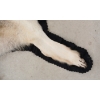 Image 5 : TIMBER WOLF SKIN RUG