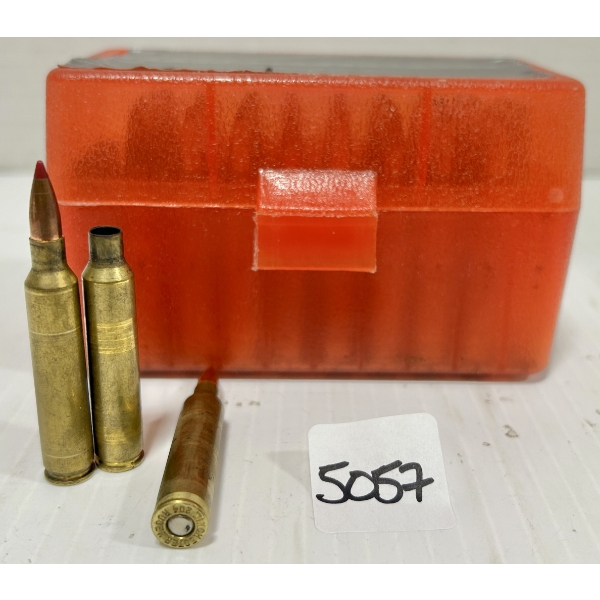 AMMO / BRASS: 45X LIVE & 4X BRASS .204 RUGER - RELOADS