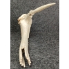 Image 5 : SPIRIT BY PETER MORGAN - BONE