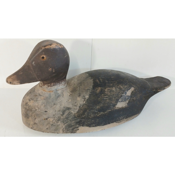 GOLDEN EYED DECOY DUCK BY RAY ANDRESS