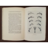 Image 5 : LOT OF 8 - FIREARMS BOOKS - "THE QUEEN ANNE PISTOL", "ENGLISH PISTOLS", "DUELING PISTOLS", ETC