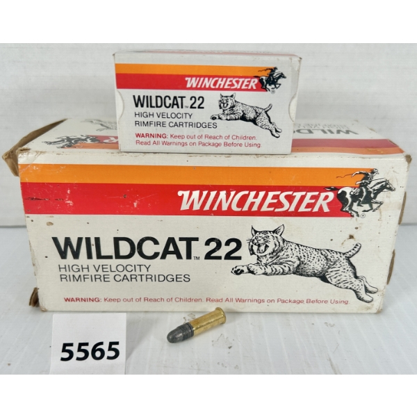 AMMO: 500X WINCHESTER .22 LR - 40 GR LRN