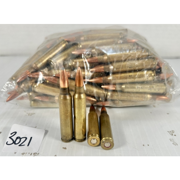 AMMO: APPROX 150X .223 REM SP & FMJ 