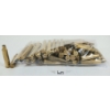 Image 1 : BRASS: APPROX 74X MIXED 7MM MAGNUM 