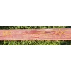 Image 7 : JOHN DEERE HORSE DRAWN RIDING PLOW - 2 FURROW W/ TONGUE