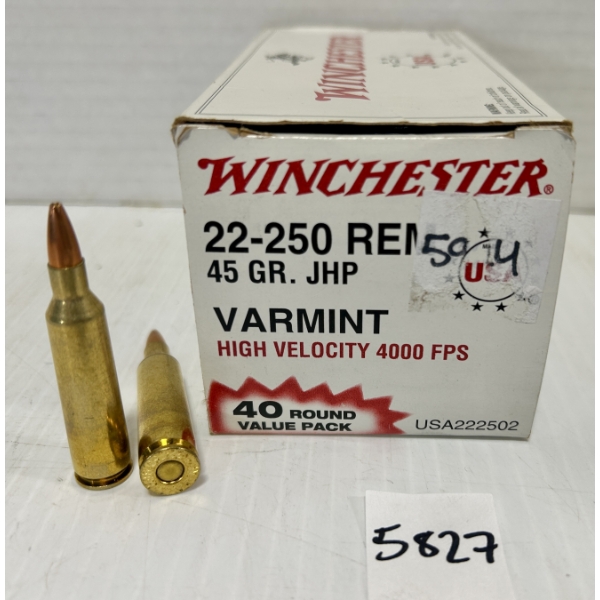 AMMO: 40X WINCHESTER .22-250 REM 45GR. HP
