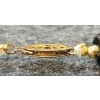Image 3 : ONYX BEADED NECKLACE W/ STERLING CLASP