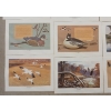 Image 7 : REMINGTON'S PORTFOLIO OF AMERICAN WATERFOWL HUNTING BY BOB KUHN - INCL "A TURN-BACK WHISTLER," ETC