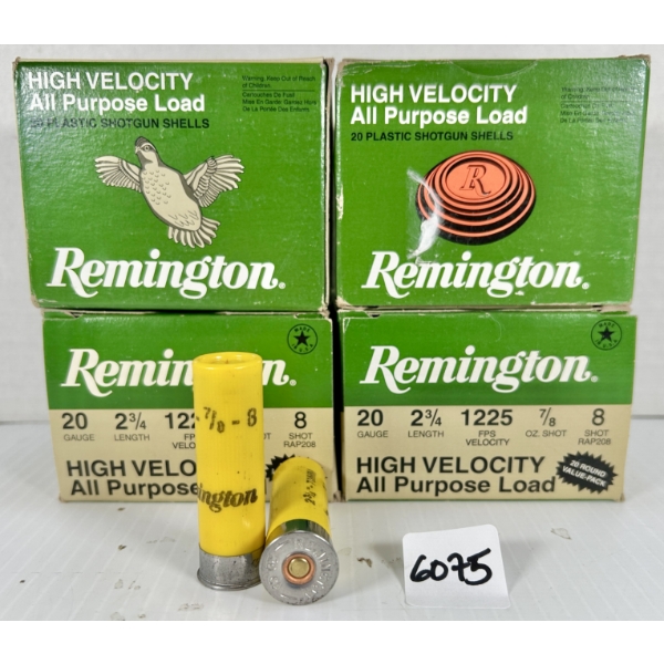 AMMO: 80X REMINGTON 20 GA 2-3/4 IN - #8