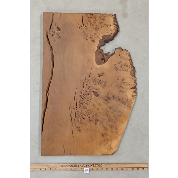 ENGLISH BROWN OAK BURL LIVE EDGE WOOD SLAB