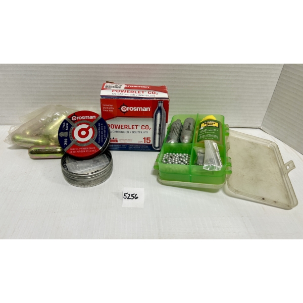 JOB LOT - PELLETS: 27X 12G C02 & APPROX 200X .177 CAL PELLETS & BB'S