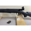 Image 2 : SAVAGE MARK II IN .22 LR 